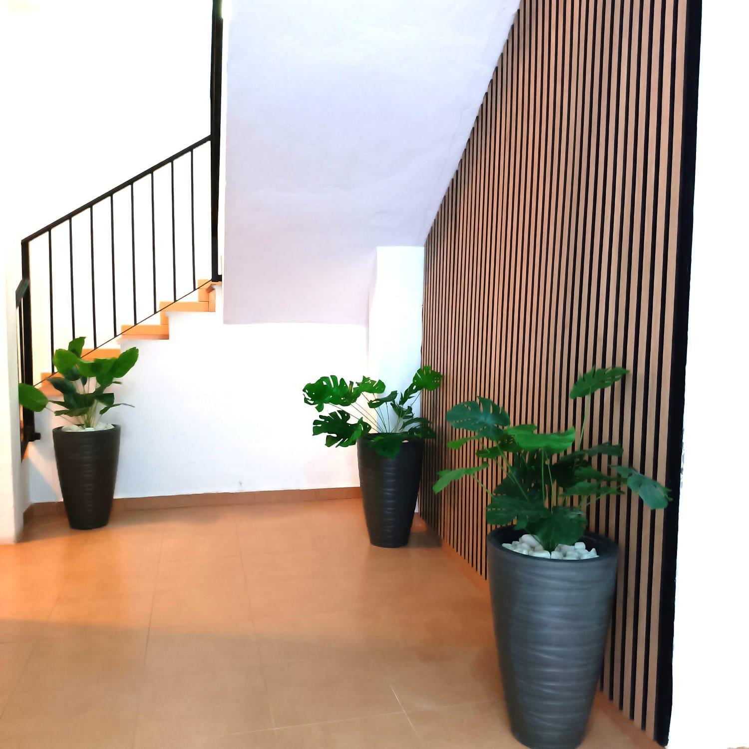 Apartamentos Calle Nueva 말라가 외부 사진