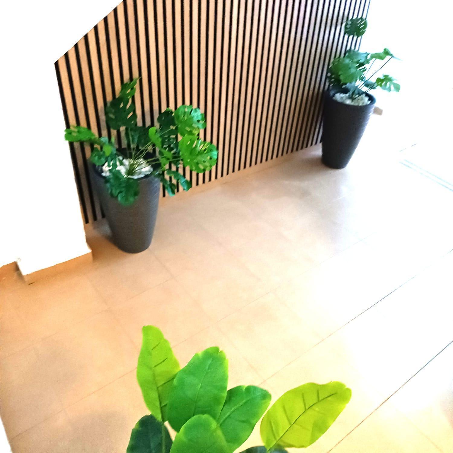 Apartamentos Calle Nueva 말라가 외부 사진